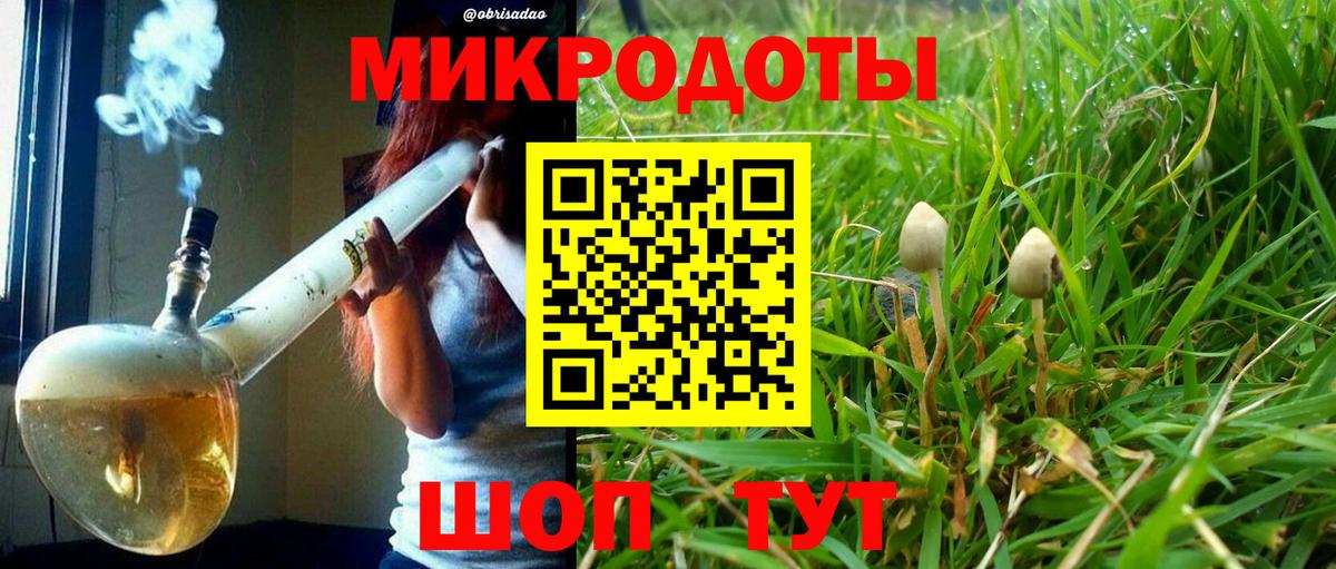 Псилоцибиновые грибы Psilocybine cubensis Кореновск